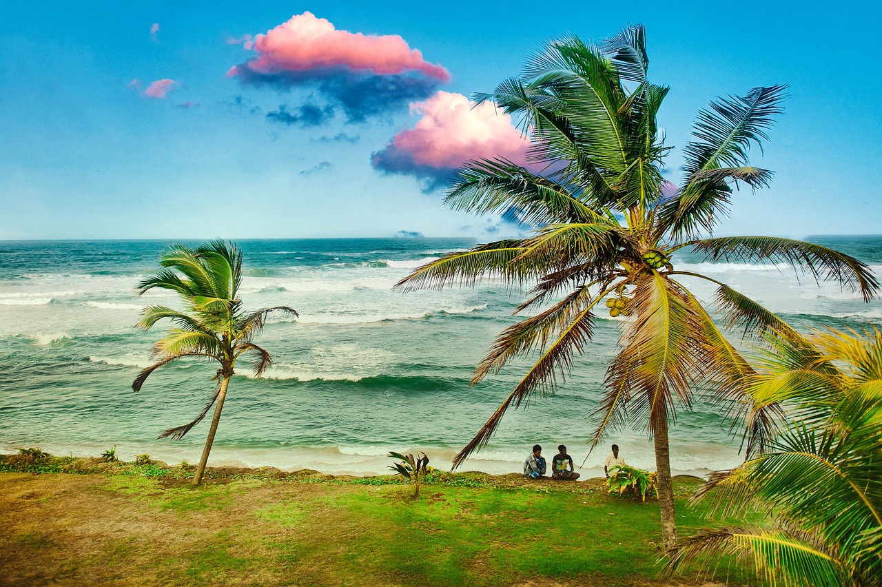 © unsplash © unsplash