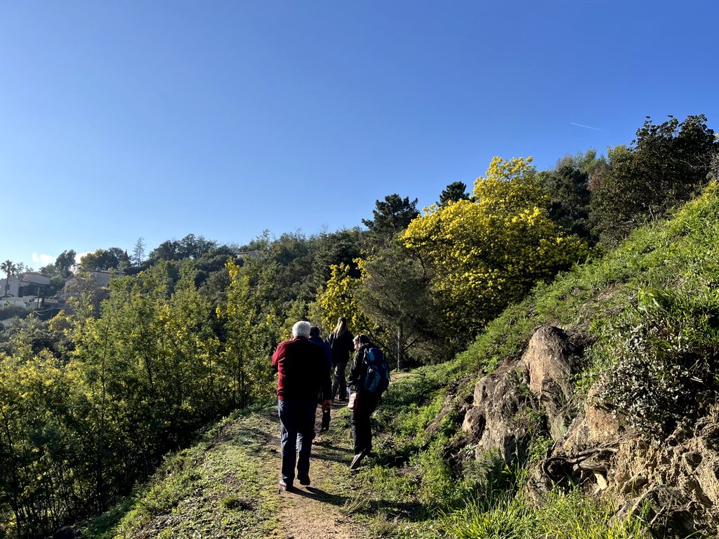 Dans le Tanneron, la marche peut durer plusieurs heures car le GR 51 qui longe la côte de Menton à Marseille, traverse tout le massif (©PB)