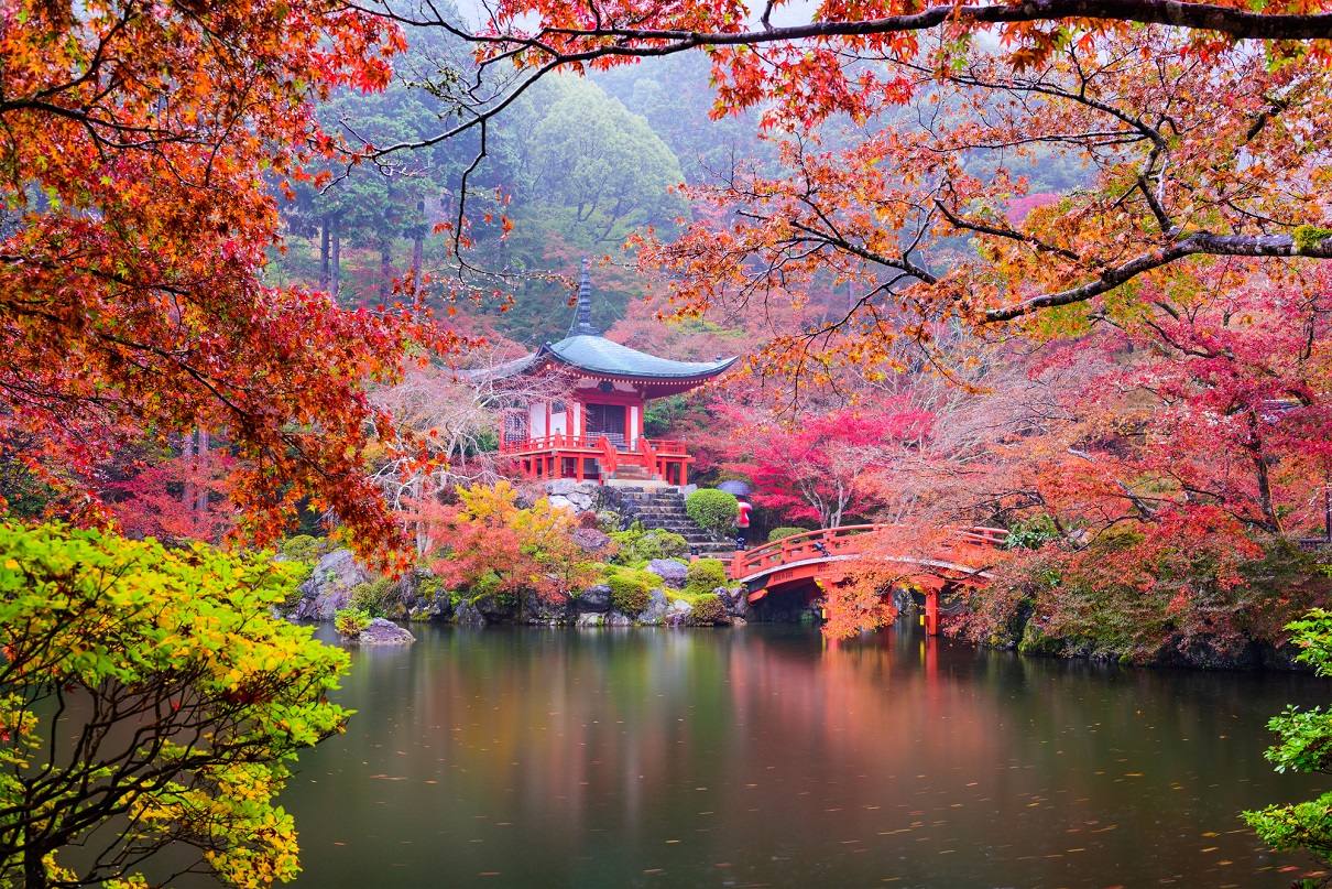 Le Japon - Photo : Depositphotos.com