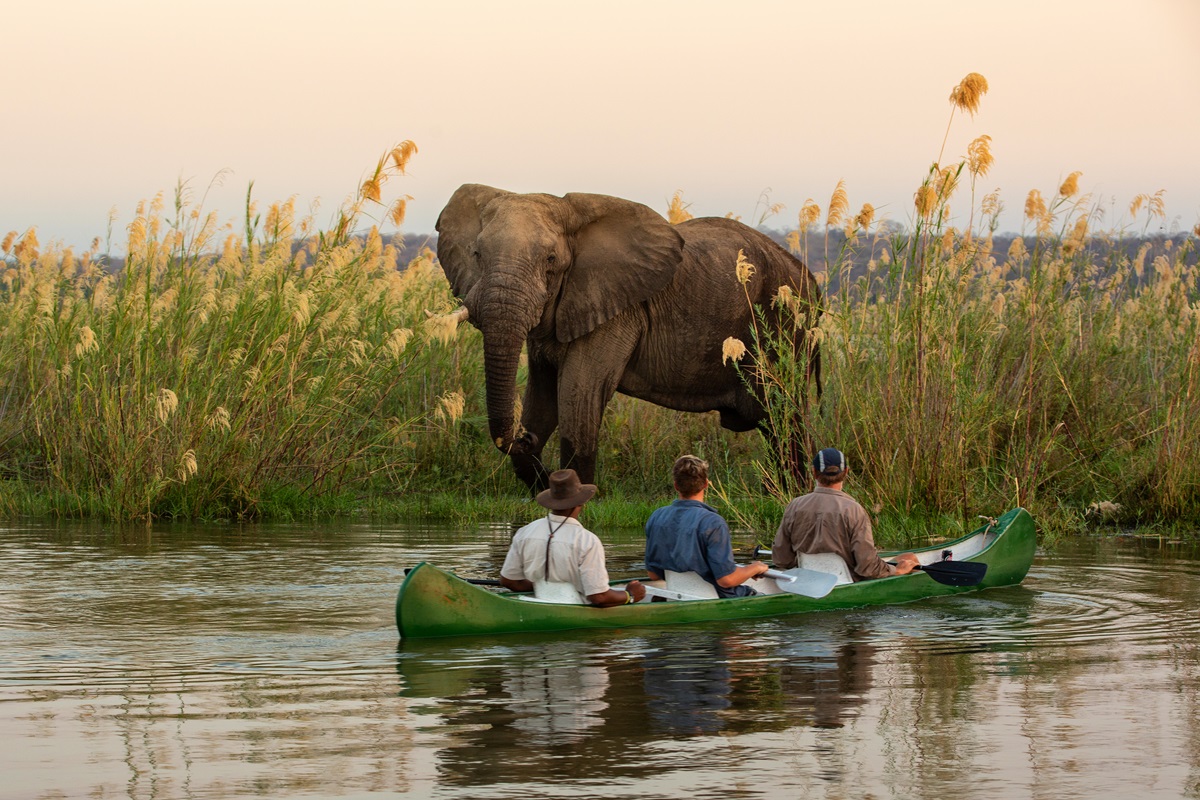 Le Zimbabwe est l’une des nouvelles destinations proposées cette année par Eluxtravel, avec le Mozambique et la Zambie. - @Eluxtravel