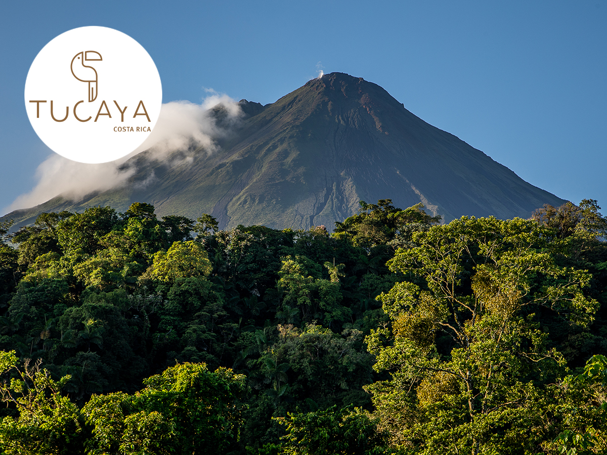 Volcan Arenal © Hotel Amor Arenal