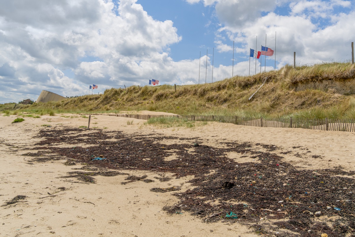 En 2019, les sites de la Bataille de Normandie ont réalisé 6,1 millions d’entrées, année du 75e Anniversaire du Débarquement. @depositphotos/prill