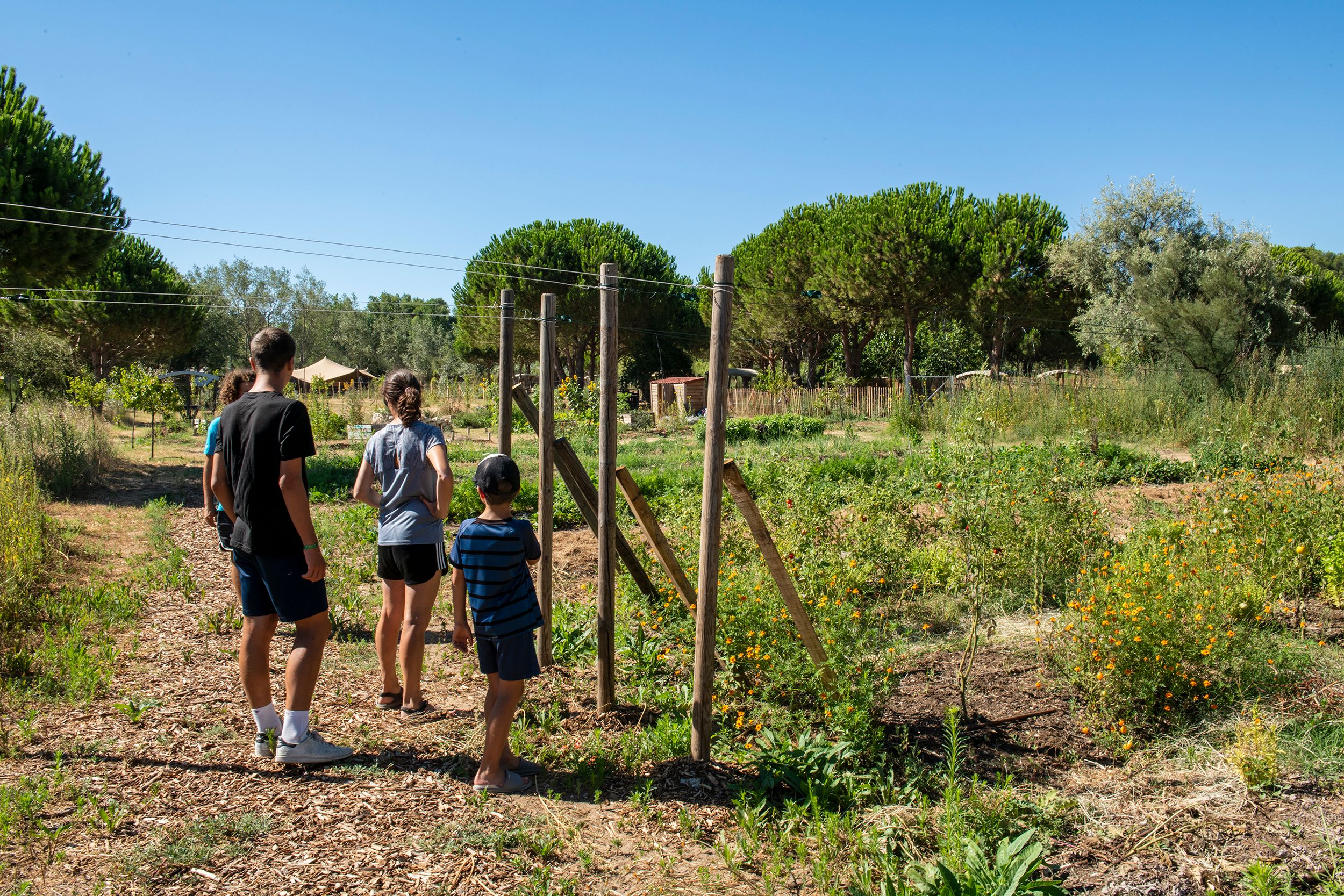 "En 2023, nous avons aménagé 3000 mètres carrés et en embauchant trois maraîchers professionnels pour nous épauler et développer nos cultures" - Photo Les Sablons