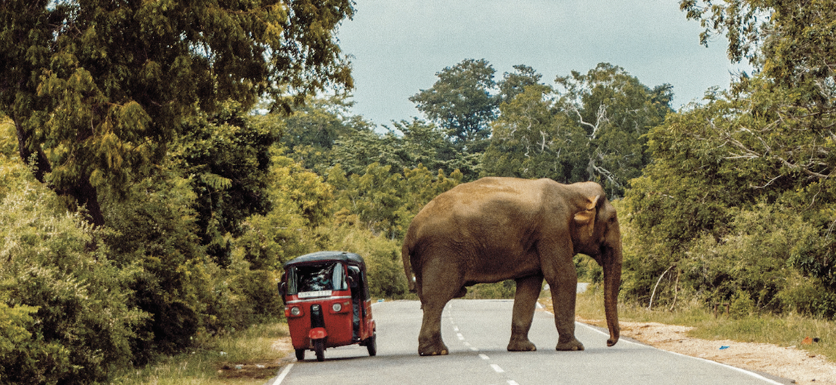 Le Sri Lanka, Trésors de Ceylan", en 12 jours/9 nuits à partir de 1745 € - Salaün Holidays Le Sri Lanka, Trésors de Ceylan", en 12 jours/9 nuits à partir de 1745 € - Salaün Holidays