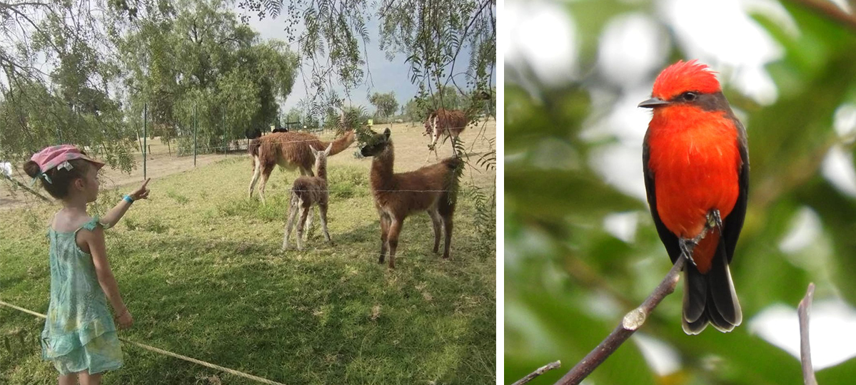 ©mariannejagu / dylanmelo ©mariannejagu / dylanmelo