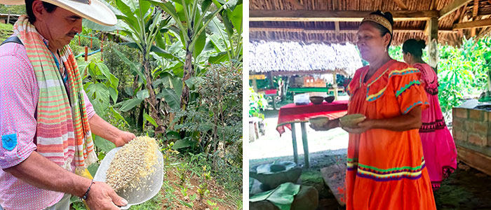 Tour de café traditionnel, Jardin, Colombie © Laurabene / Immersion au sein d’une communauté Ngäbe productrice de cacao à Bocas del Toro, Panama © Panamauthentique