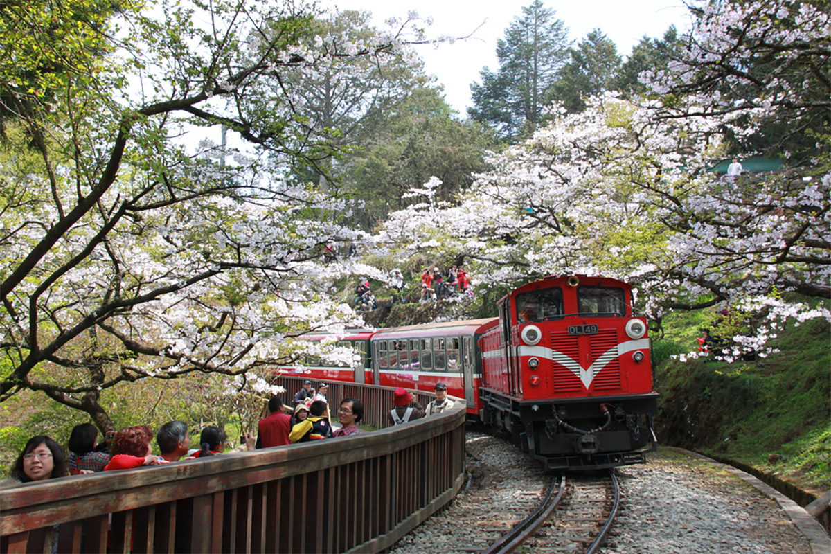 © Alishan, Taiwan Tourism Administration