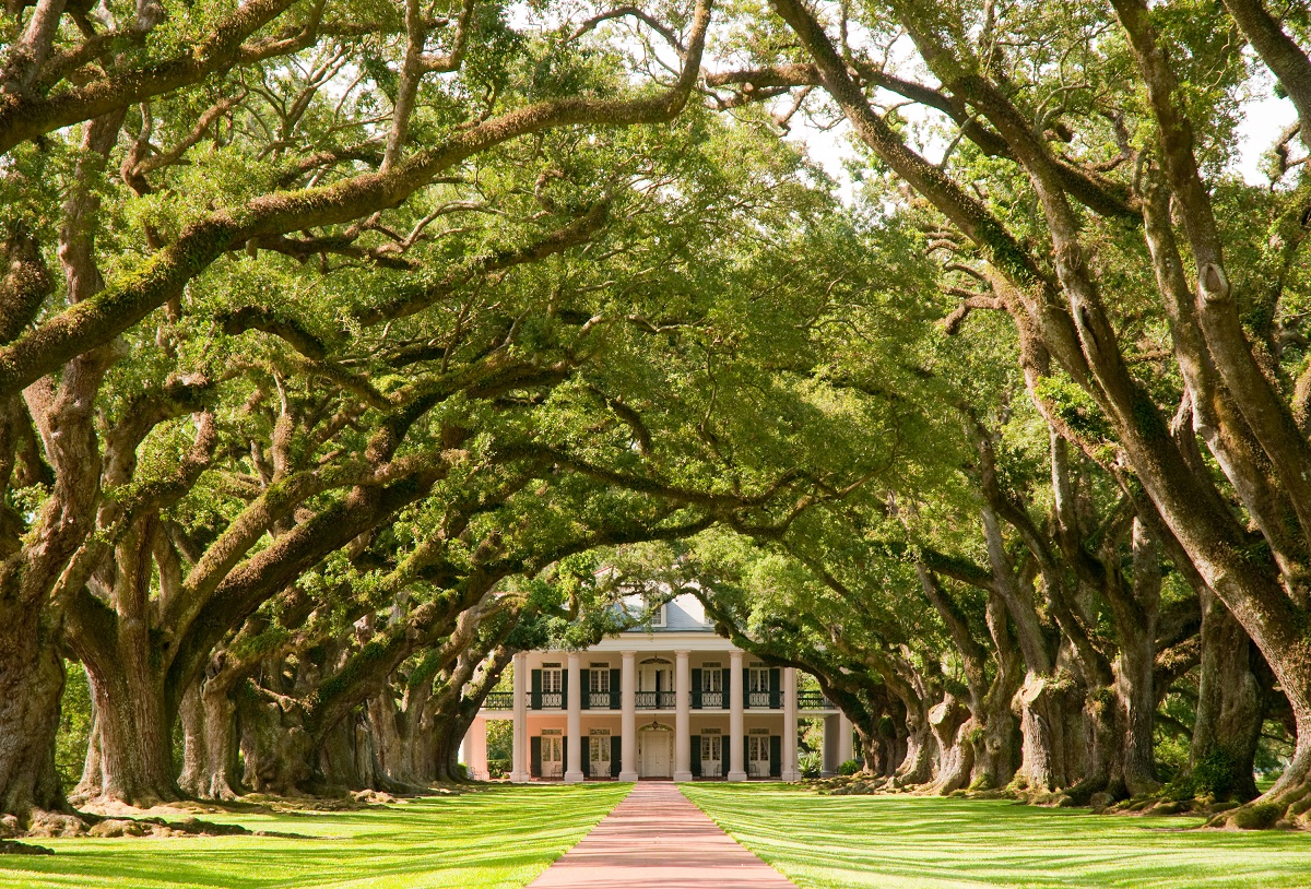 Oak Alley en Louisiane  - Photo Shutterstock (003)