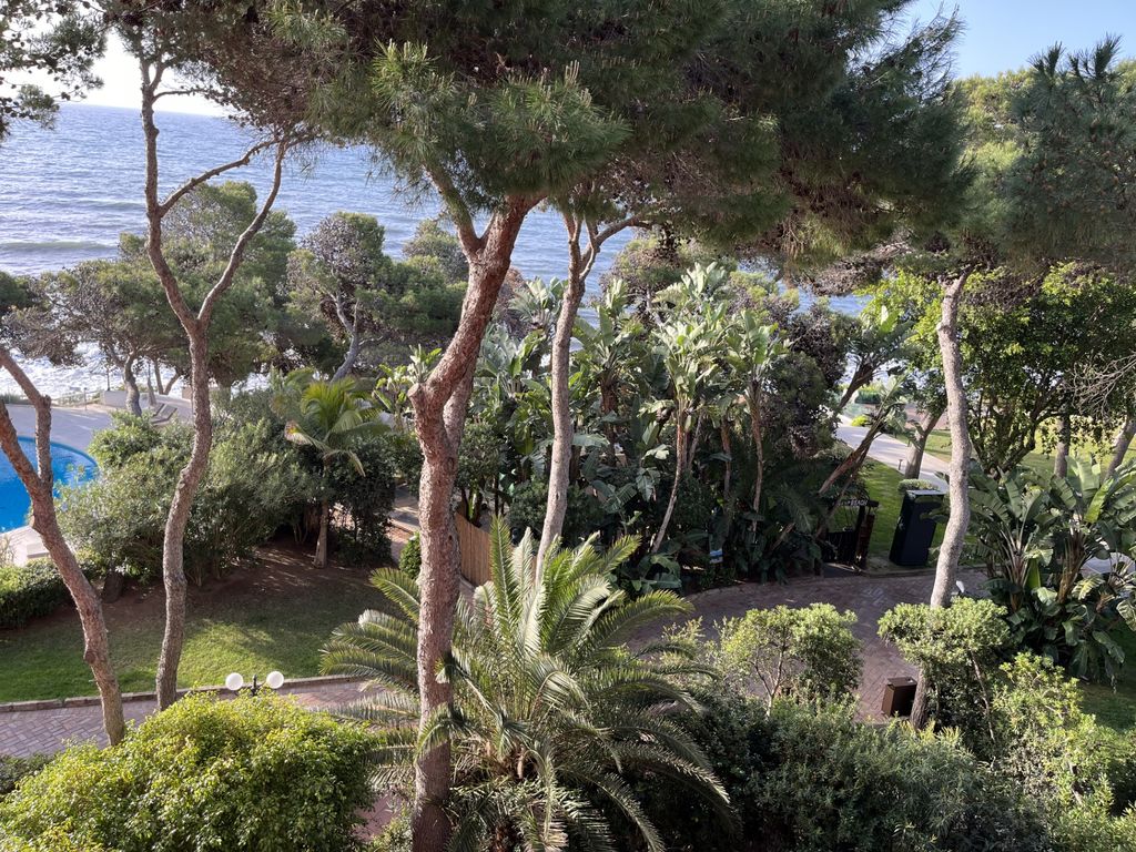 C'est dans une pinède peuplée de palmiers que se déploie, en bord de mer, le Forte Village (©PB)