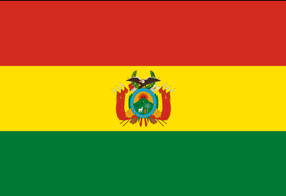 Drapeau de la Bolivie - DR : Wikipedia