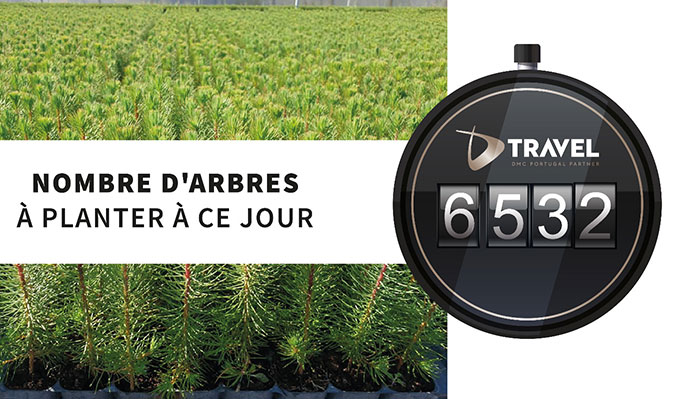 Madère, "l'île aux fleurs", avec DTravel DMC, votre réceptif au Portugal Madère, "l'île aux fleurs", avec DTravel DMC, votre réceptif au Portugal