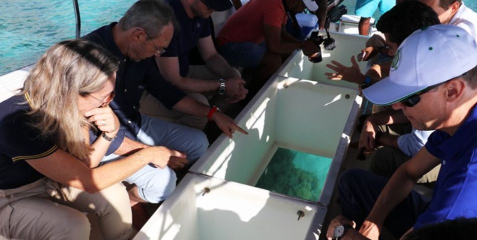 La première étape du projet permettra d’établir un inventaire complet des coraux (©Beachcomber) La première étape du projet permettra d’établir un inventaire complet des coraux (©Beachcomber)