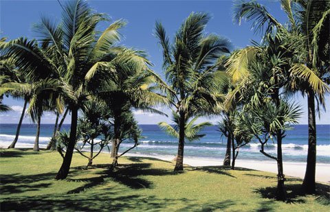 L'Ile de La Réunion se dote d'un Comité Régional du Tourisme 