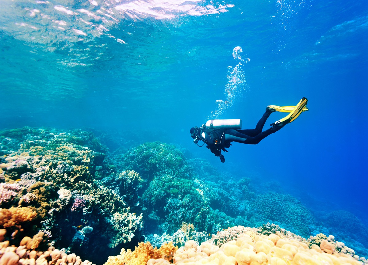 La plongée est passée du statut de mono activité à un statut de poly-activités. Elle est incluse dans un séjour de vacances, pendant un voyage... - Depositphotos.com, zavgsg La plongée est passée du statut de mono activité à un statut de poly-activités. Elle est incluse dans un séjour de vacances, pendant un voyage... - Depositphotos.com, zavgsg