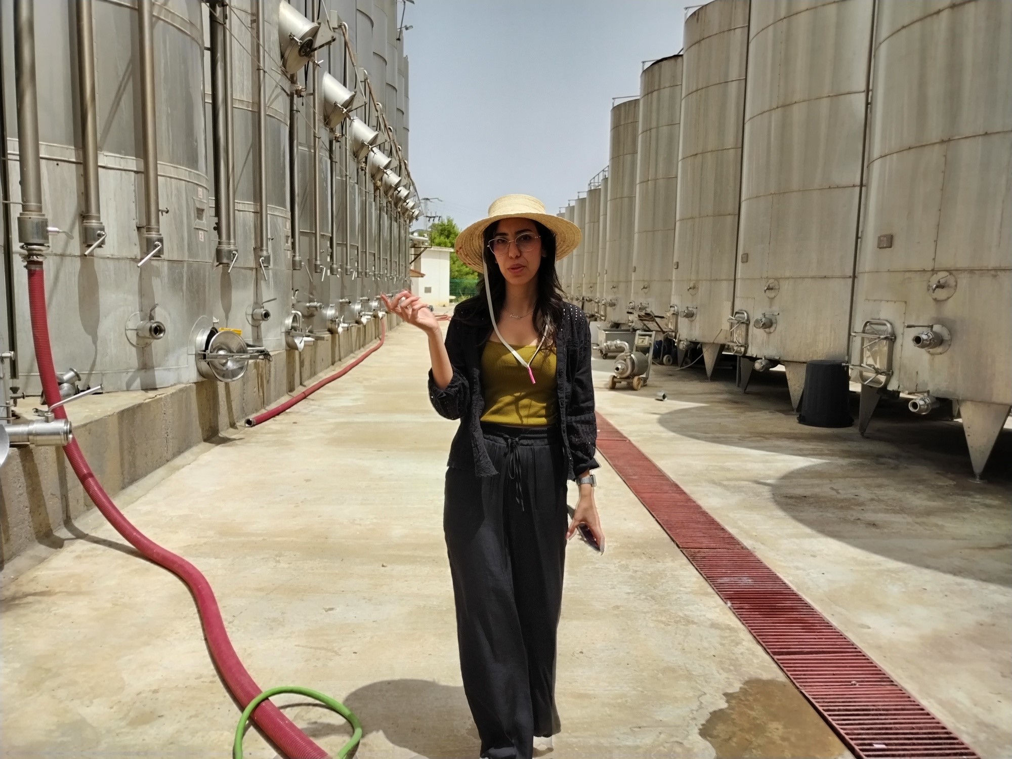 Abed Mayssa,  ingénieure agricole alimentaire responsable qualité  et  œnologue du Domaine Neferis. MS.