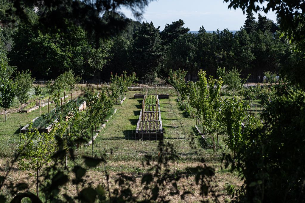 Le potager de l'Oustau de Baumanière, un concentré des saveurs des Alpilles (©VirginieOvessian/Baumanière) Le potager de l'Oustau de Baumanière, un concentré des saveurs des Alpilles (©VirginieOvessian/Baumanière)