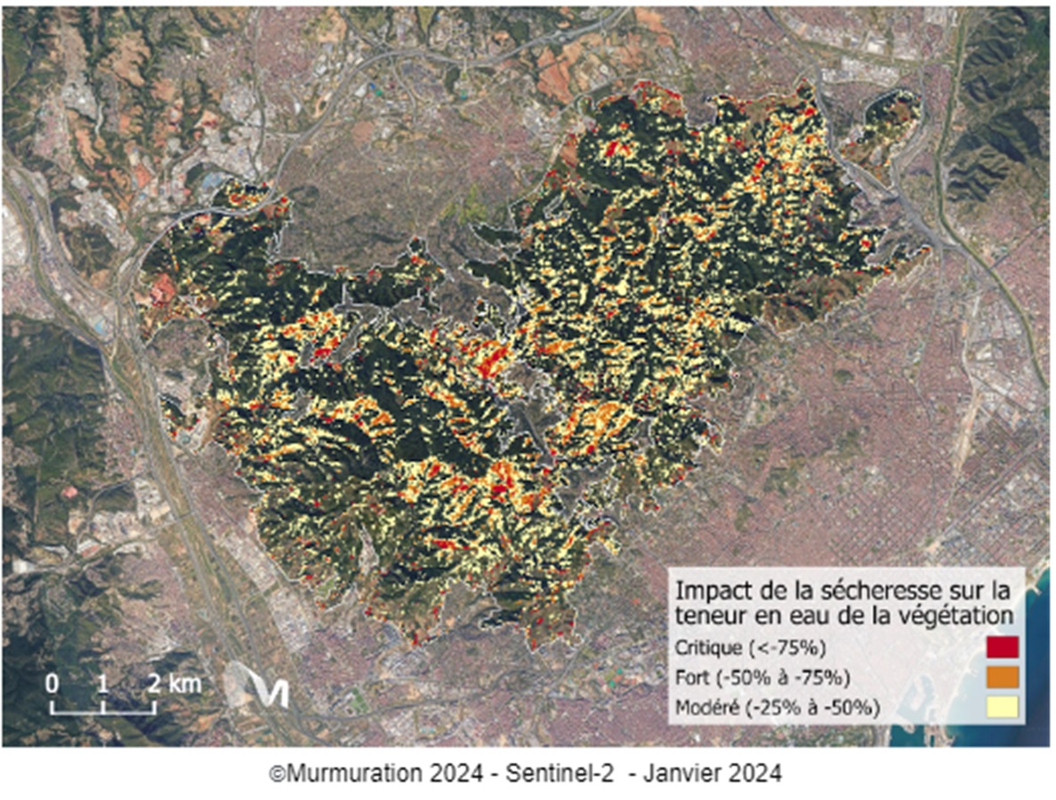 La carte, conçue par Mumuration nous révèle qu'en moyenne, les conifères ont perdu -23% de leur teneur en eau et les feuillus -27% - Crédit photo : Murmuration La carte, conçue par Mumuration nous révèle qu'en moyenne, les conifères ont perdu -23% de leur teneur en eau et les feuillus -27% - Crédit photo : Murmuration