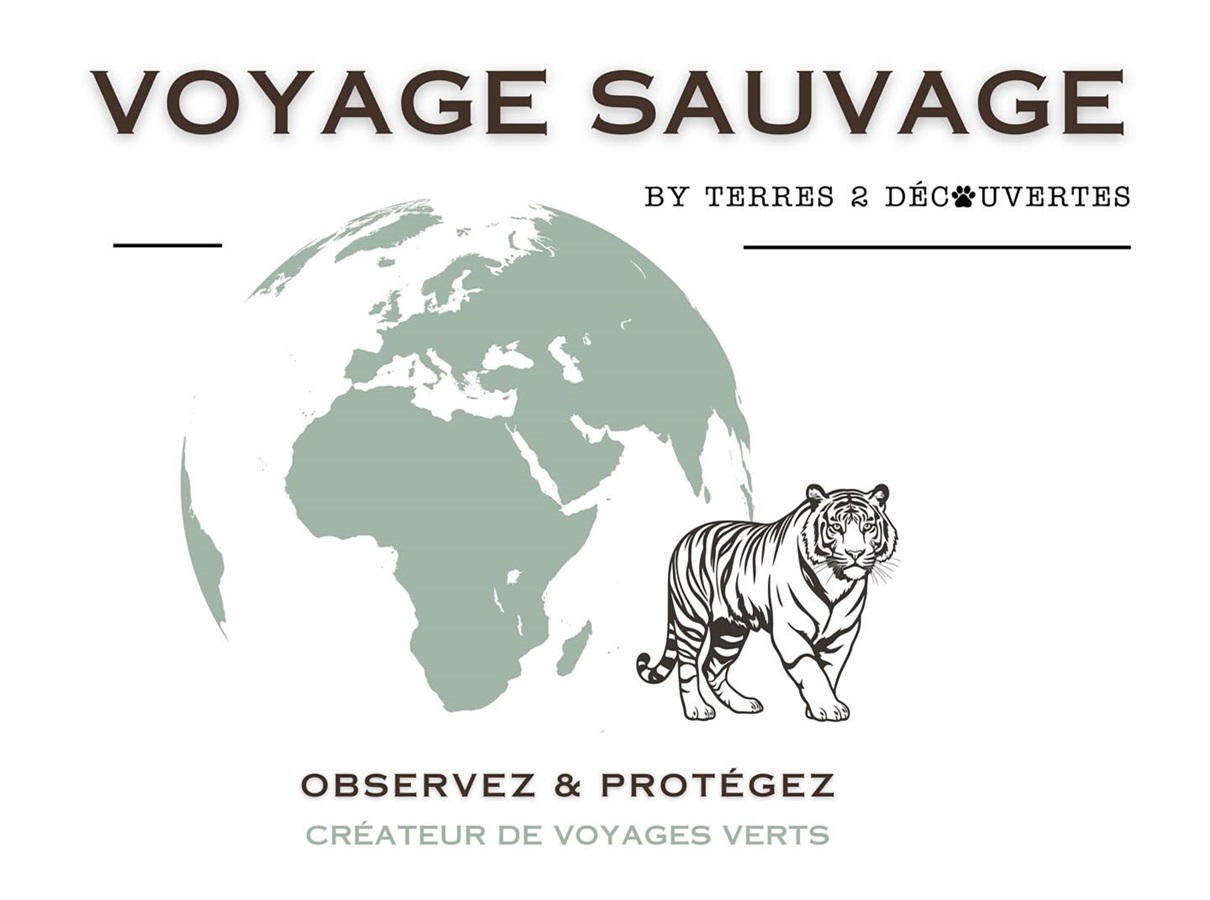 Voyage Sauvage : le nouveau TO de la cause animale 🔑 Voyage Sauvage : le nouveau TO de la cause animale 🔑