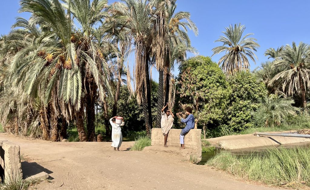 Scène de la vie quotidienne sur les bords du Nil (©PB) Scène de la vie quotidienne sur les bords du Nil (©PB)