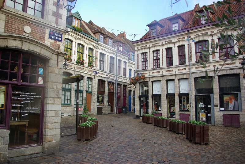 Tout ou presque, à Lille, respire le cocktail des styles, héritage d’époques où chaque « régnant » (Flamand, Bourguignon, Hollandais, Français…) dut imprimer sa marque - DR Tout ou presque, à Lille, respire le cocktail des styles, héritage d’époques où chaque « régnant » (Flamand, Bourguignon, Hollandais, Français…) dut imprimer sa marque - DR