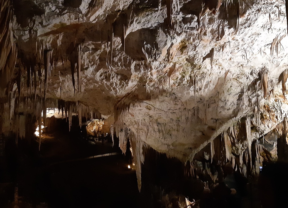 La grotte de Postojna est tout simplement, la plus grande d'Europe ouverte au tourisme - RP La grotte de Postojna est tout simplement, la plus grande d'Europe ouverte au tourisme - RP
