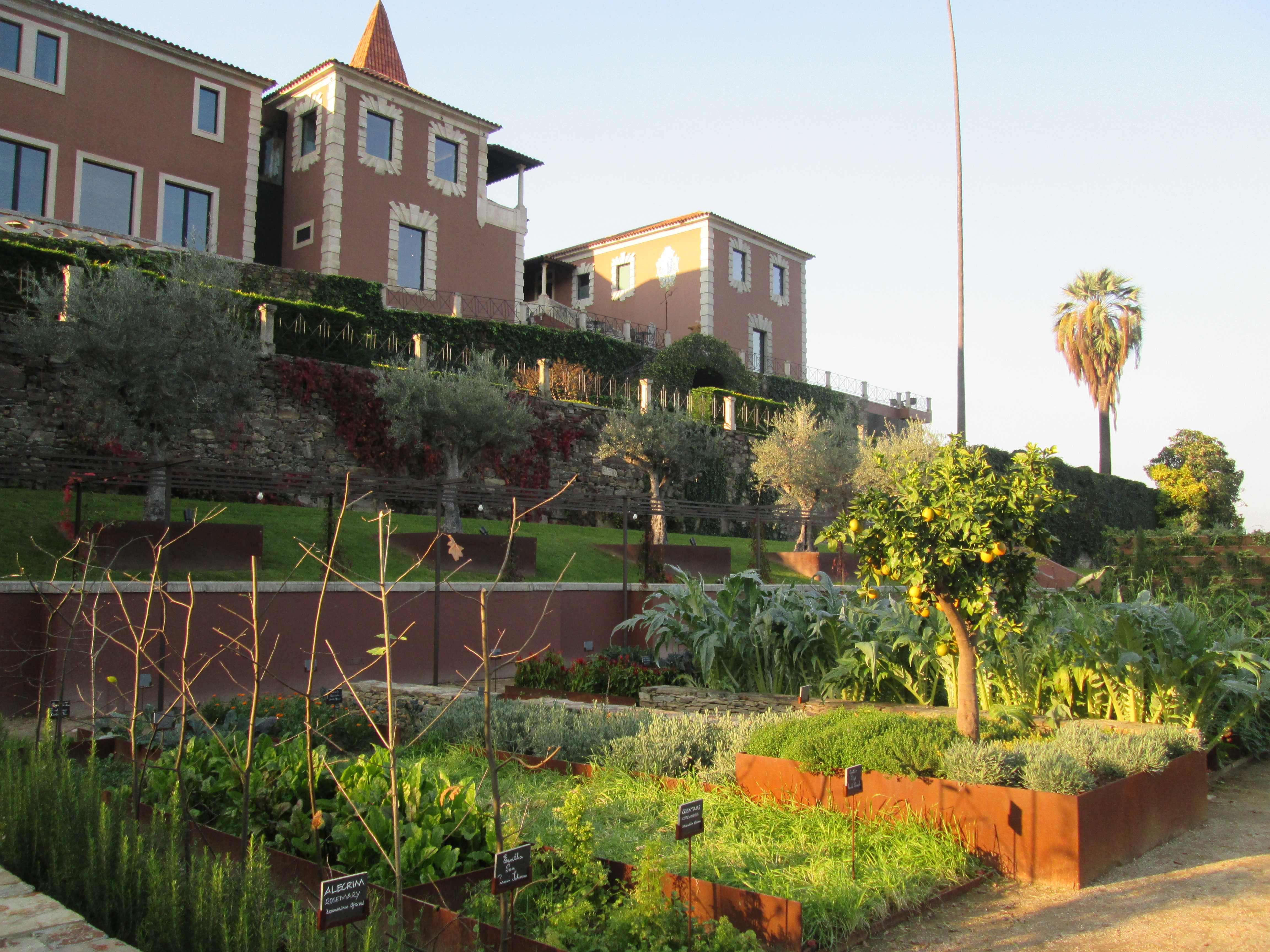 Au pied de l'hôtel, à l'emplacement de l'ancien tennis, le jardin organique qui reçoint la visite quotidienne du chef. Photo MS.