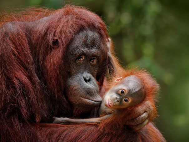 © canva from Canva Pro © canva from Canva Pro