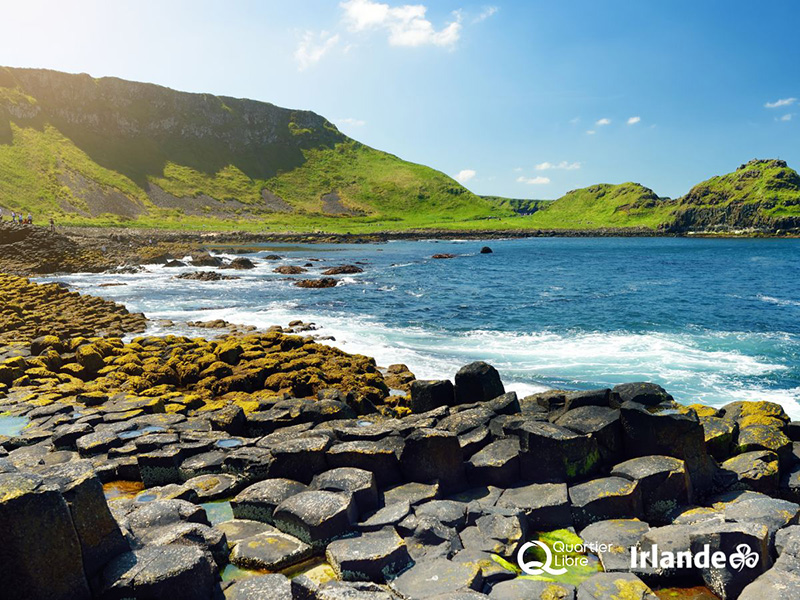 © Canva Quartier Libre © Canva Quartier Libre