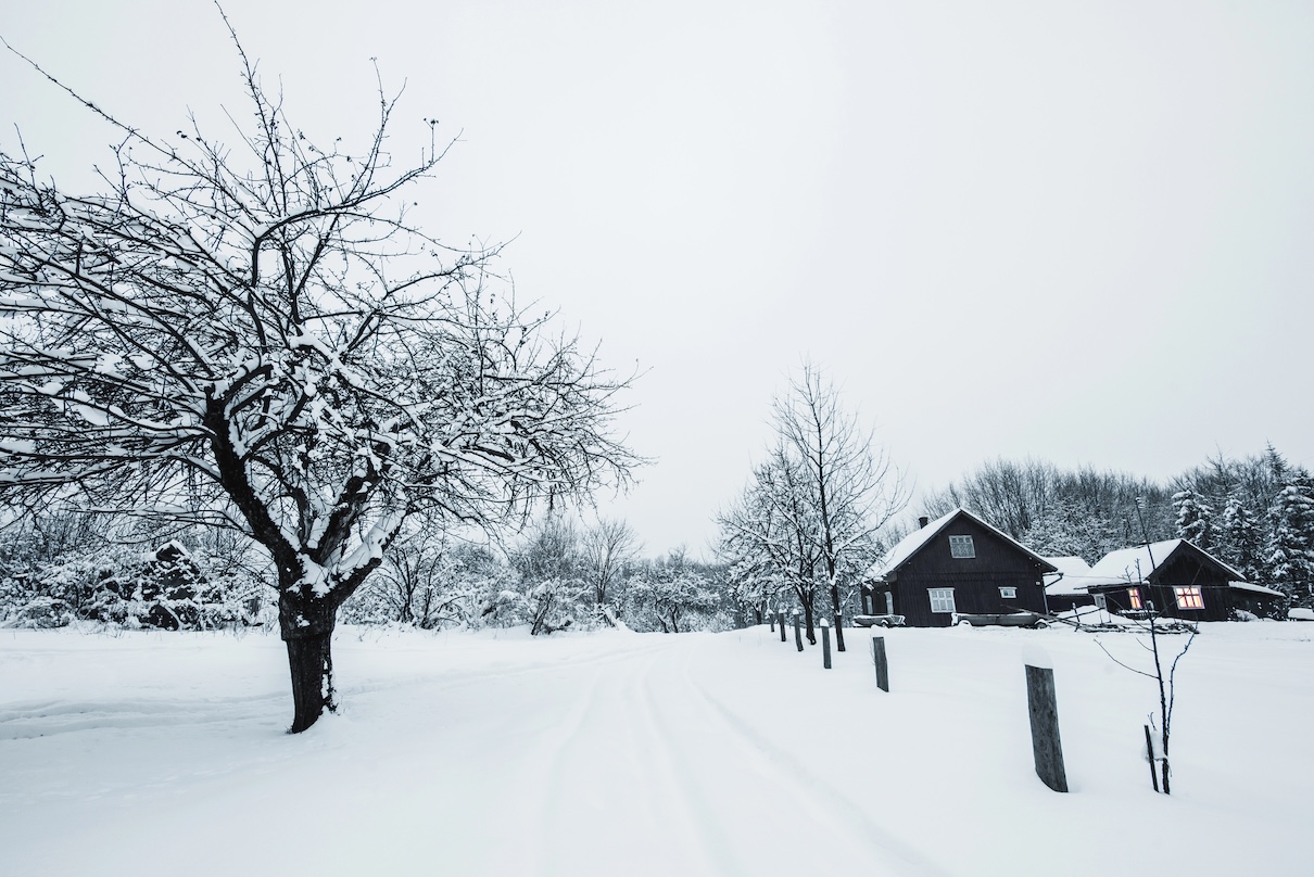 Belambra signe une belle saison hivernale - Depositphotos @HayDmitriy