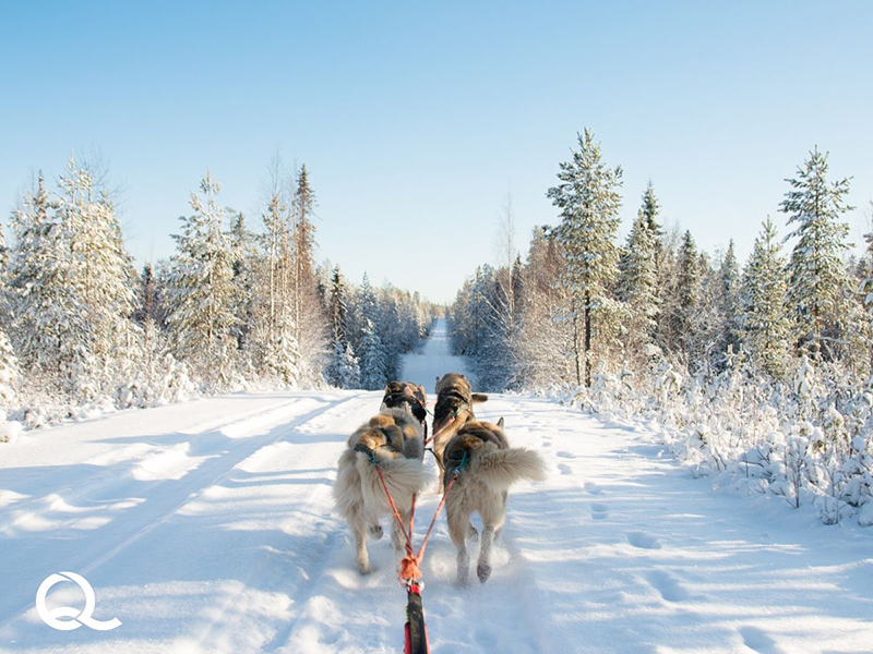 © Canva Quartier Libre © Canva Quartier Libre