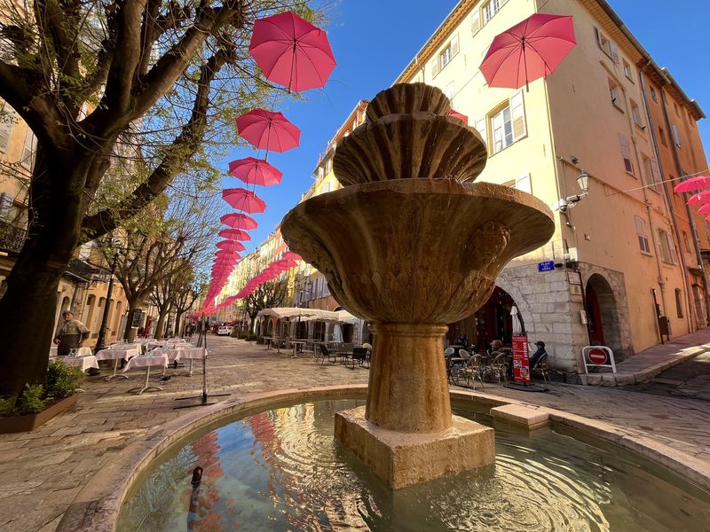 Dans les rues et les places (ici, la place aux Aires) du Vieux Grasse, 3000 parapluies roses sont suspendus en hommage à l'une de ses fleurs emblématiques, la rose centifolia, encore appelée "rose de mai" (© PB)
