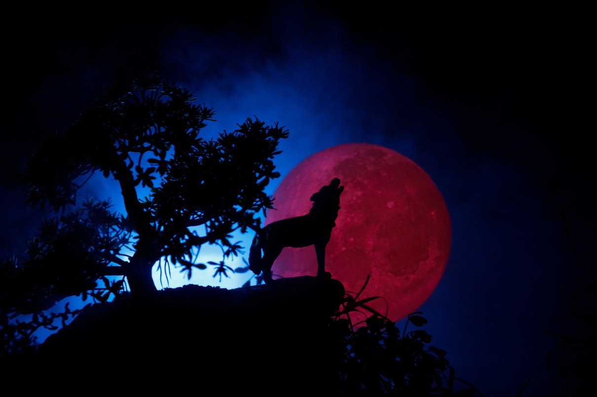 Les Loups-Garous investissent 30 Clubs Lookéa cet été - Photo : Depositphotos.com @zeferli@gmail.com