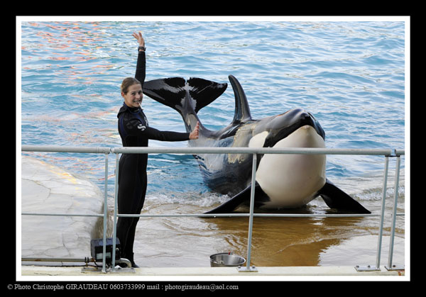 Marineland will offer more educative shows. Photo : Christophe Giraudeau