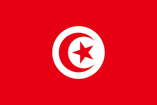 Drapeau de la Tunisie - DR : Wikipedia