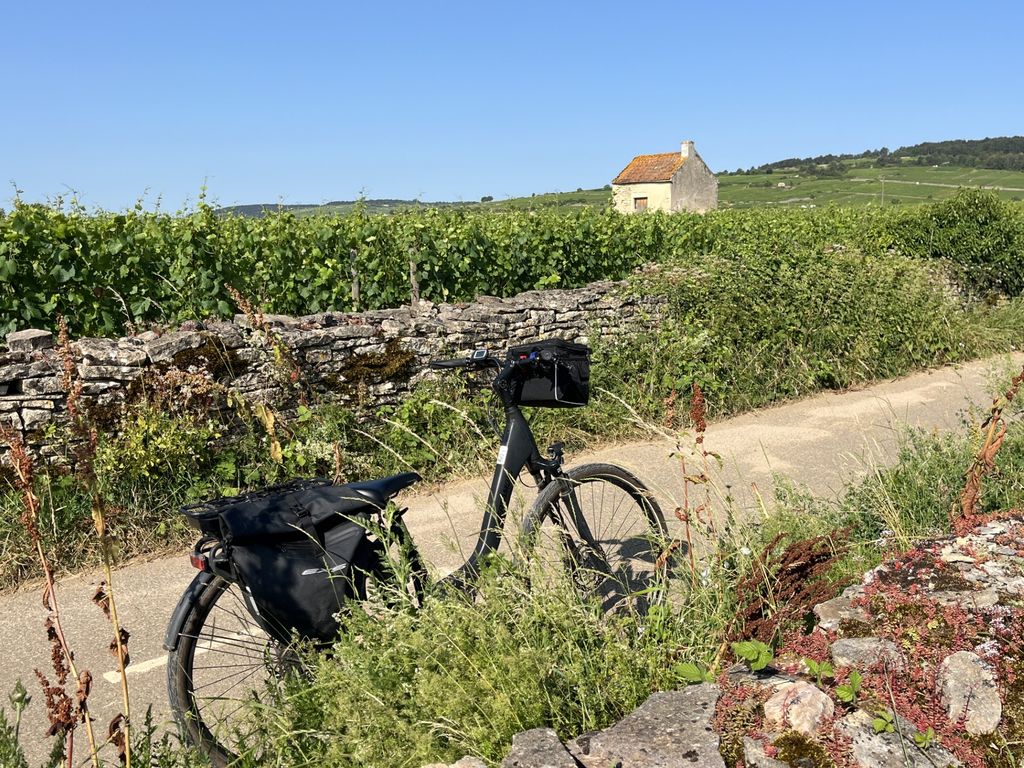 Pour se promener dans les vignes, impossible de se perdre. La véloroute "La voie des vignes" est balisée (© PB)