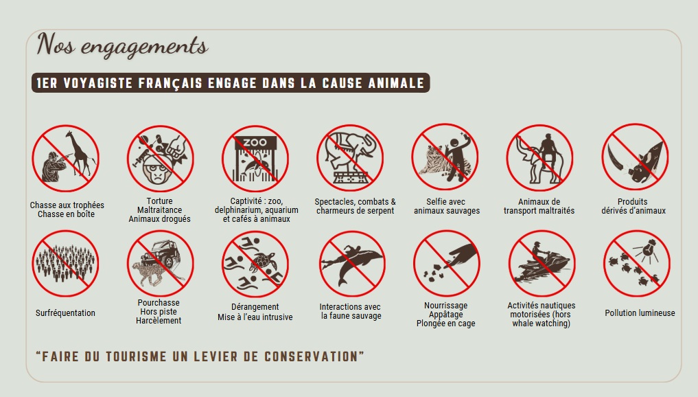 La promesse de Voyage Sauvage - DR