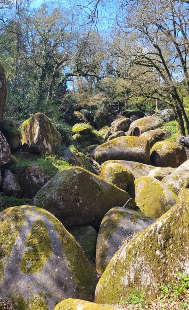 L’intérieur de la Bretagne recèle beaucoup de merveilles. La Forêt de Huelgoat, par exemple - Photo : AB