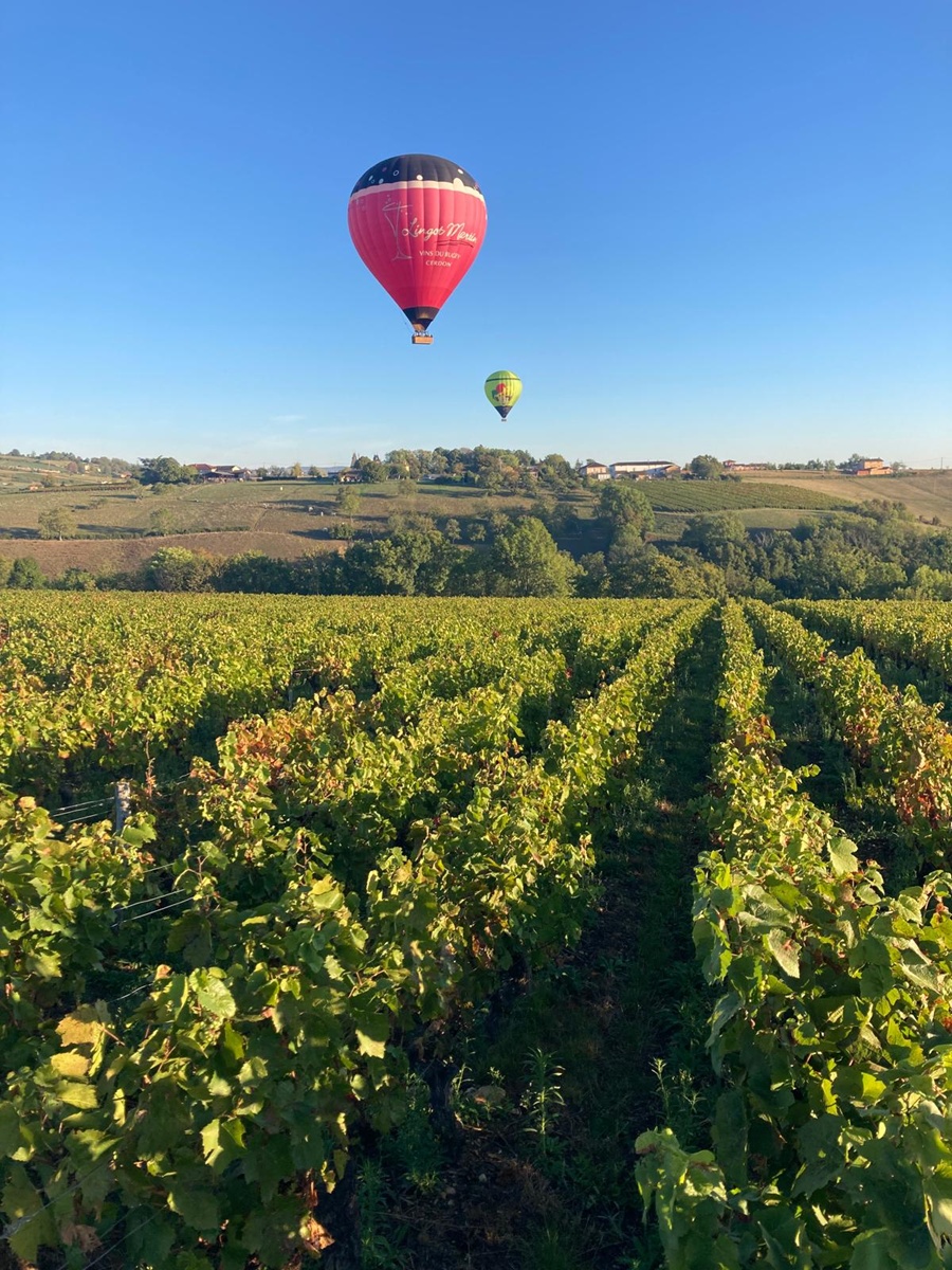 L’automne est une saison idéale dans le Beaujolais - Photo : Trip My France