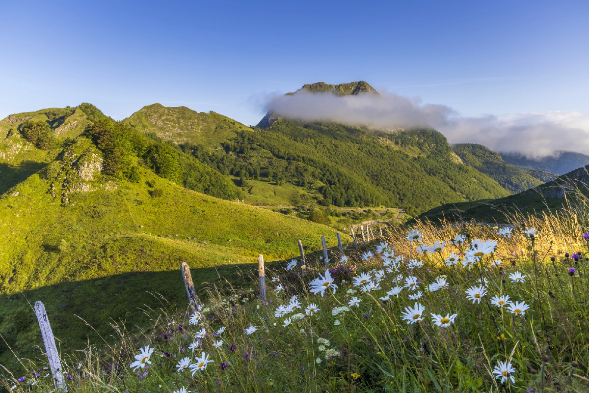 Randonnée Pyrénées : sur les traces du bouquetin en Ariège Depositphotos.com phb.cz Randonnée Pyrénées : sur les traces du bouquetin en Ariège Depositphotos.com phb.cz