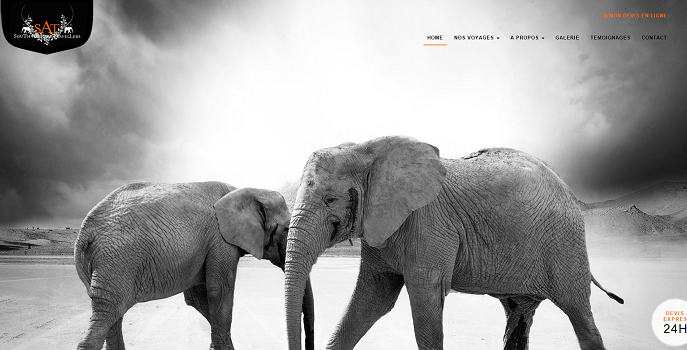 La nouvelle version du site Internet de South African Travellers est plus moderne - Capture d'écran