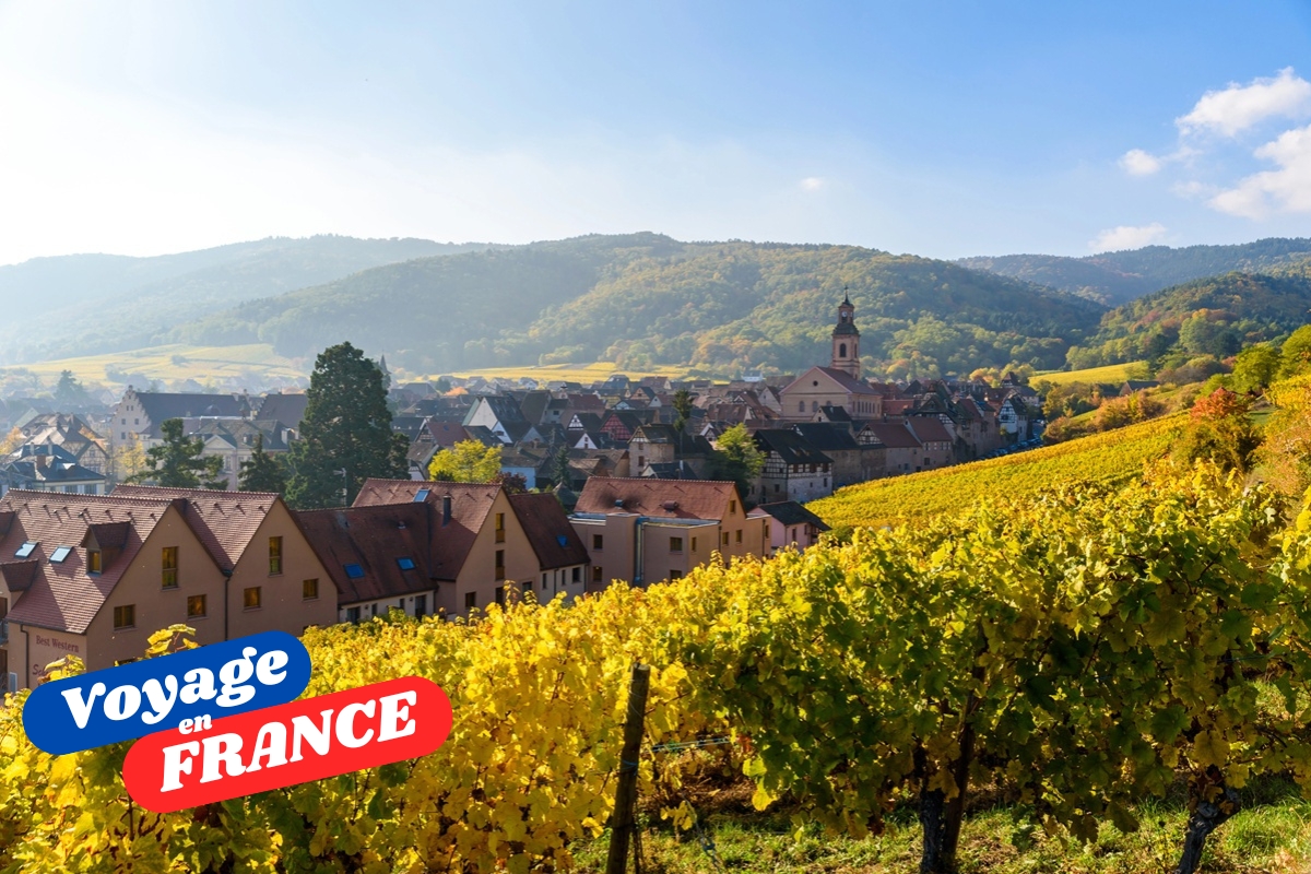 En automne, la nature se pare de teintes flamboyantes : rouges, orangées, dorées. Les vignobles de la Lorraine, de la Champagne et de l’Alsace offrent des paysages spectaculaires - Depositphotos.com, SimonDannhauer
