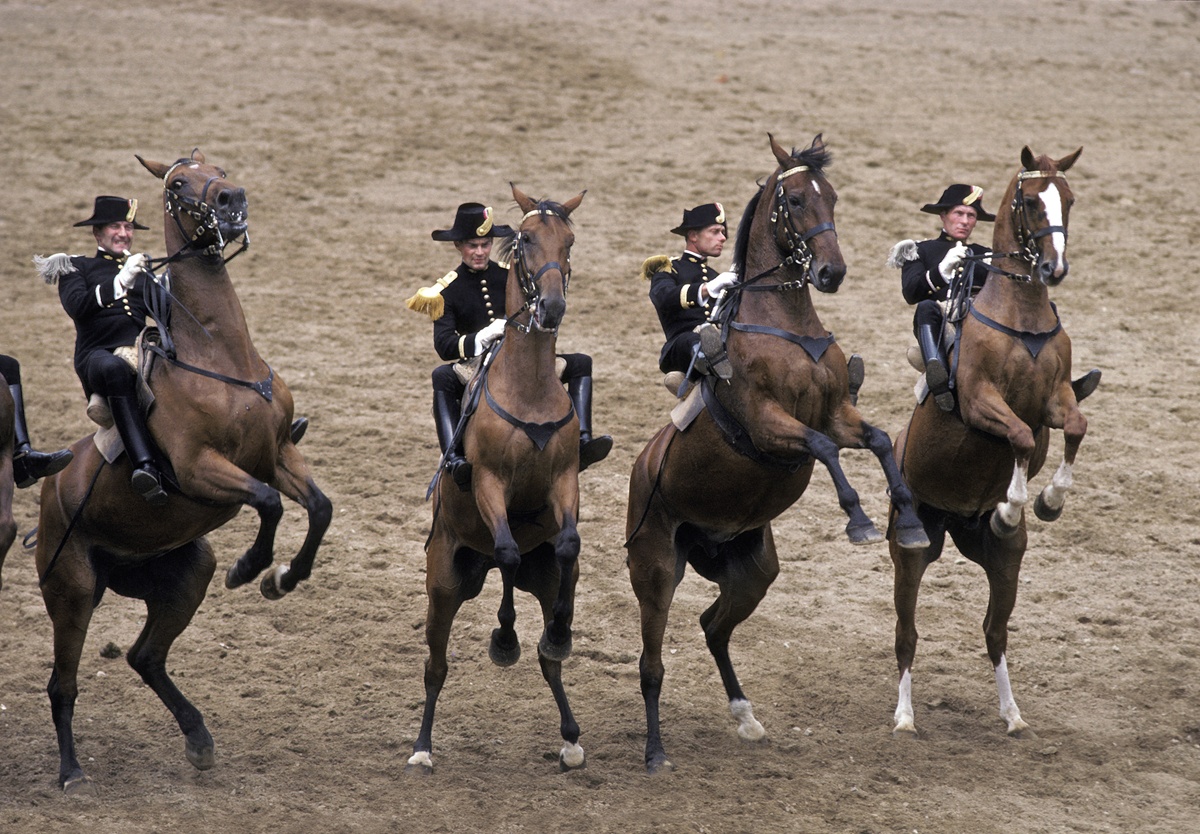 Issu de la tradition militaire, le célèbre Cadre Noir forme aujourd’hui les enseignants de l’Ecole Nationale d’Equitation - DepositPhotos.com, slowmotiongli