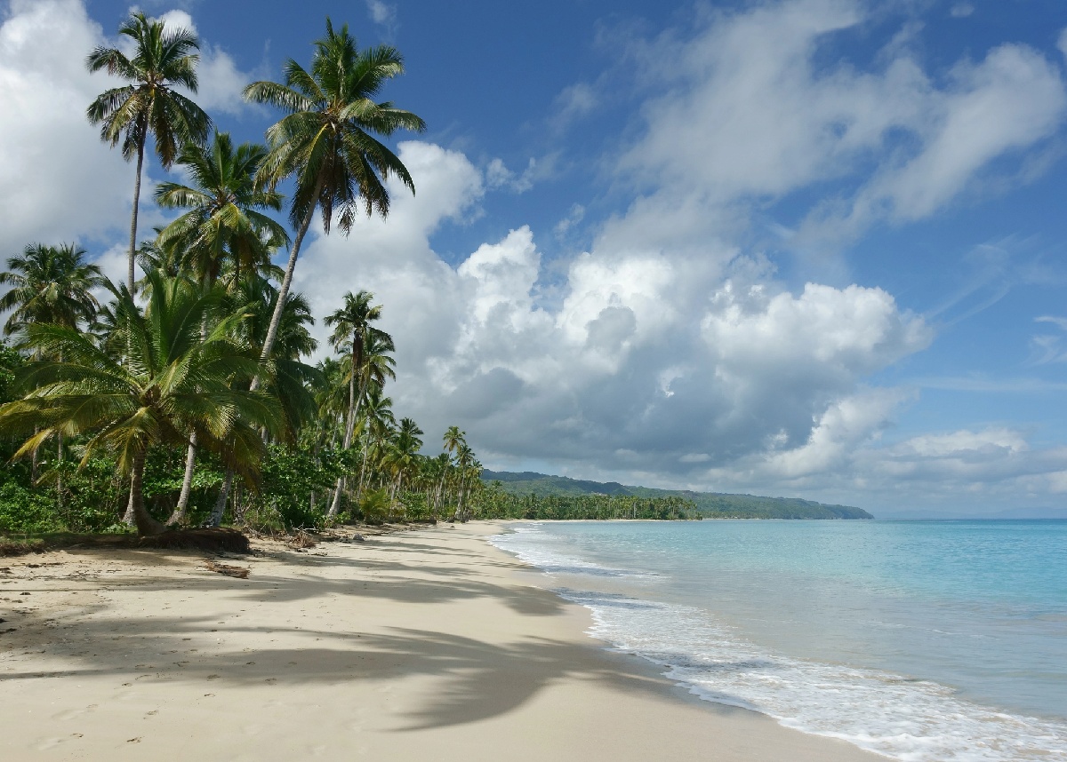 République Dominicaine : Air Caraïbes s'envole vers Samana - Depositphotos.com Auteur fotocat10