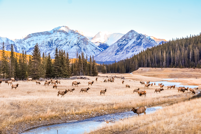 © Travel Alberta © Travel Alberta