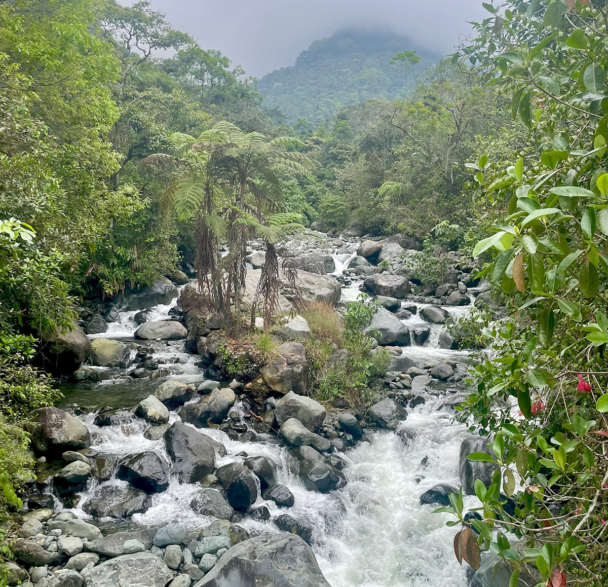Rio Pancé © Marianne Jagu