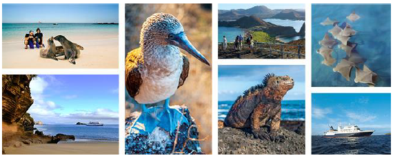 Avec la reprise d'Ocean Adventures, Celebrity Cruises développe ses activités dans les îles Galapagos - Photos : Celebrity Cruises