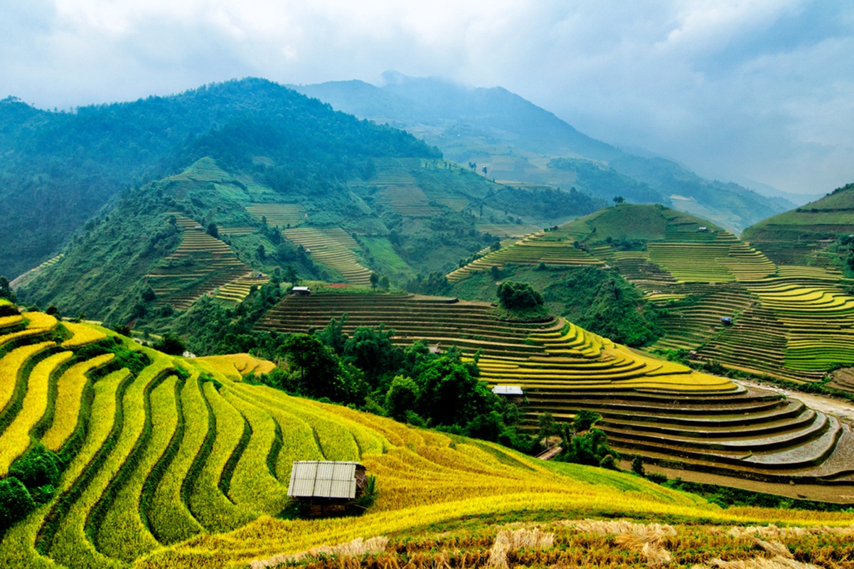 Le Vietnam enregistre une hausse de +40% de pax et de chiffre d’affaires, devenant ainsi la 2e destination de Climats du Monde, derrière la Thaïlande - Depositphotos.com, degist83