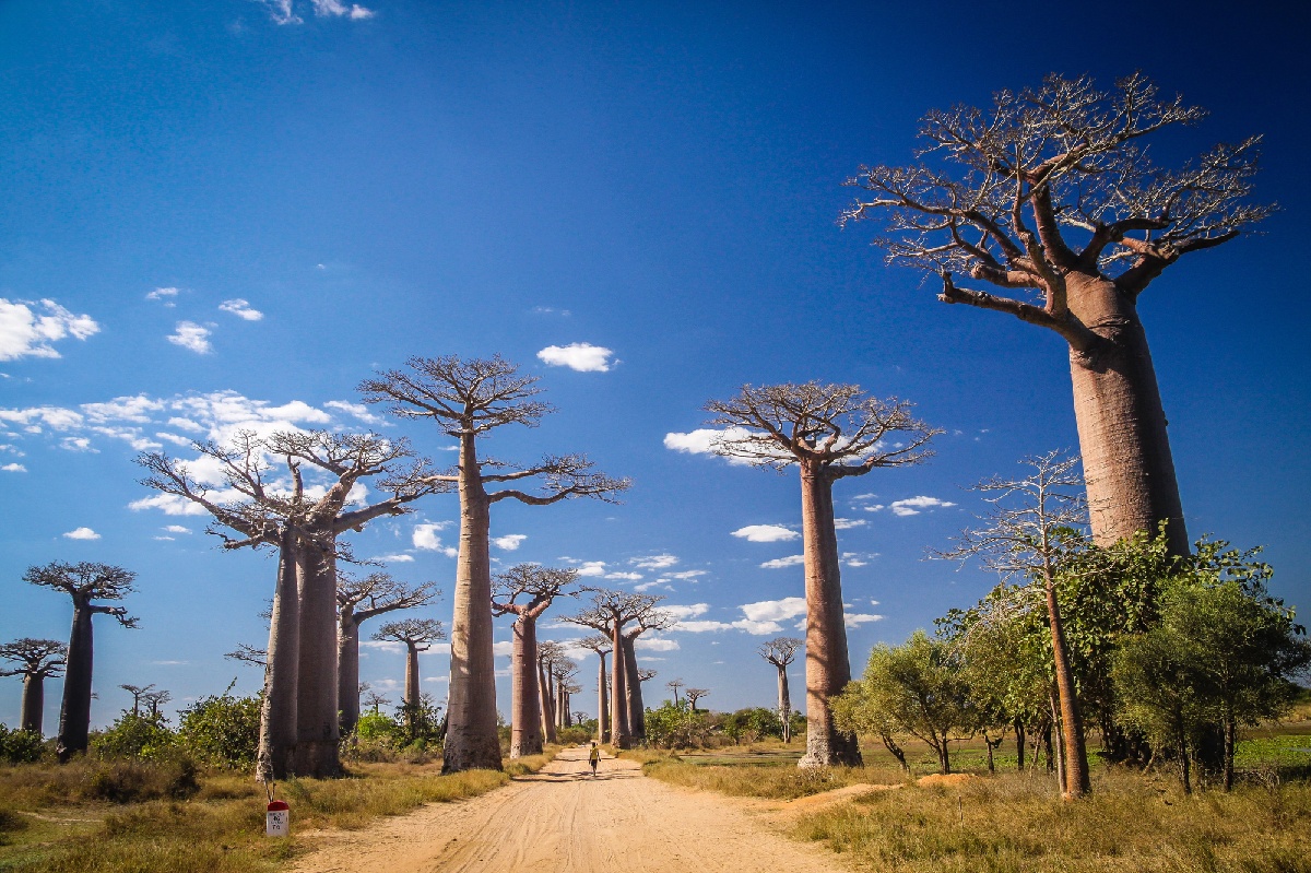 Albanie, Pologne, Madagascar : Aya Voyages élargit son horizon - Photo Depositphotos.com Auteur pawopa3336