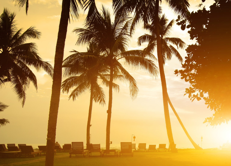 Chaises longues sur une plage de l’océan Indien – Sri Lanka – © Givaga – Fotolia.com