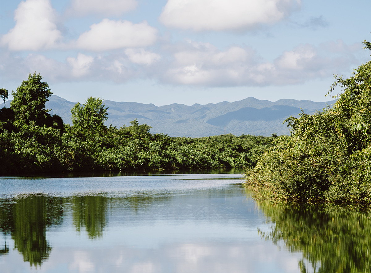 © Comité du tourisme des Îles de Guadeloupe - Clément Chambaud